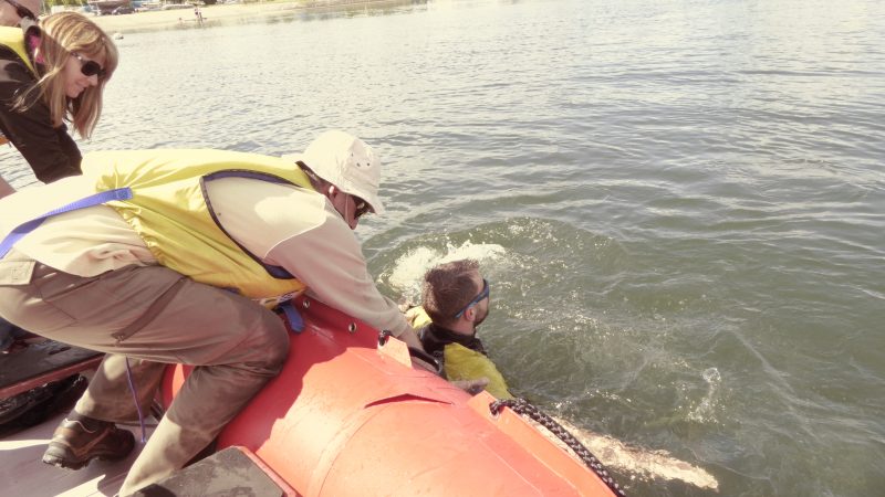 P1000966-e1495224629831