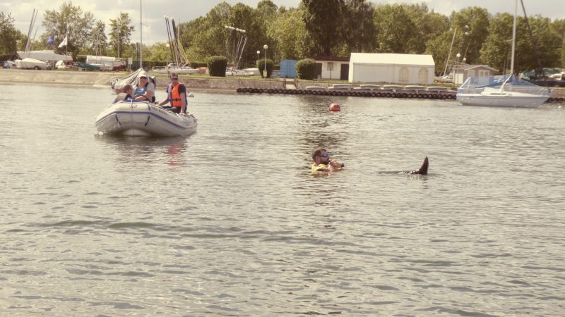 P1000978-e1495224505237