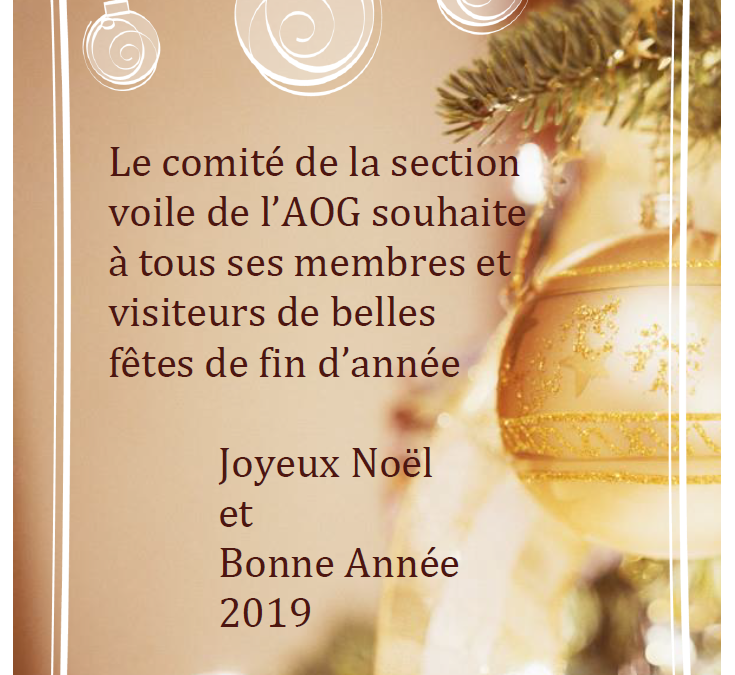 BONNE ANNEE 2019