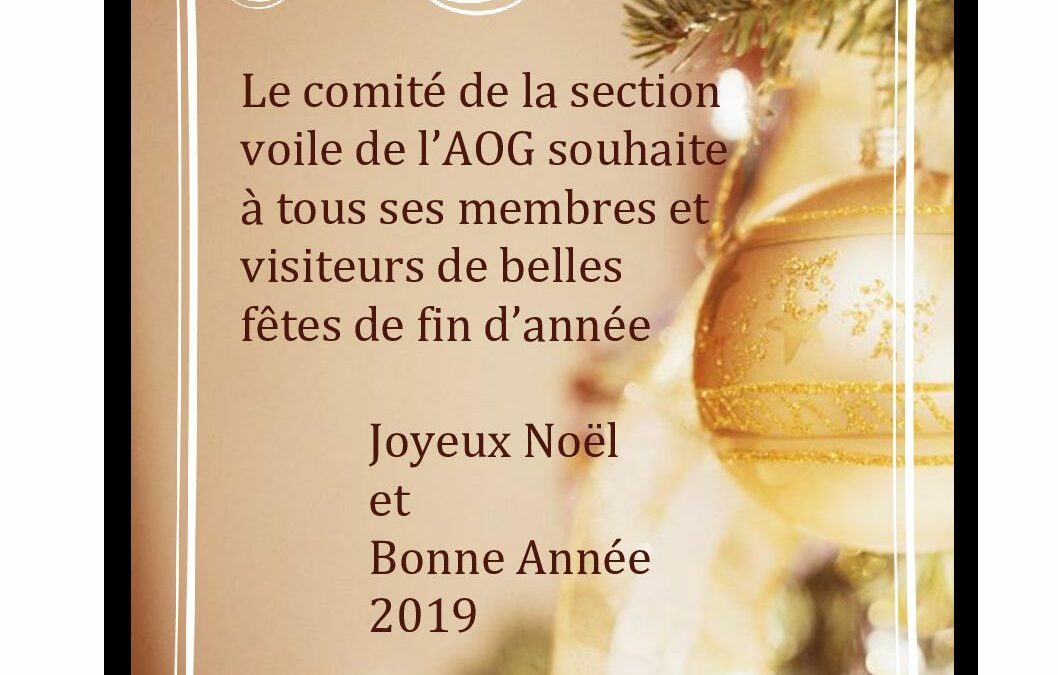 BONNE ANNEE 2019