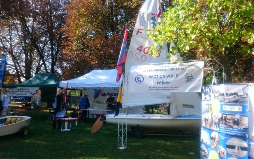 DSC_2284-e1506359322859