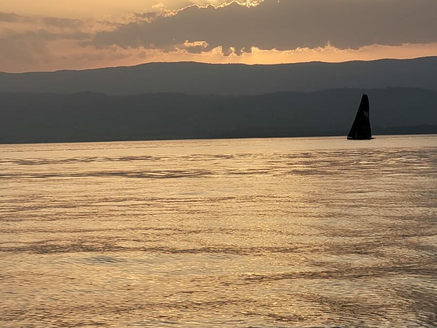 IMG-20250614-WA0017